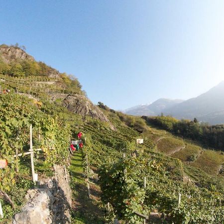 Winebnb Sondrio Eksteriør bilde