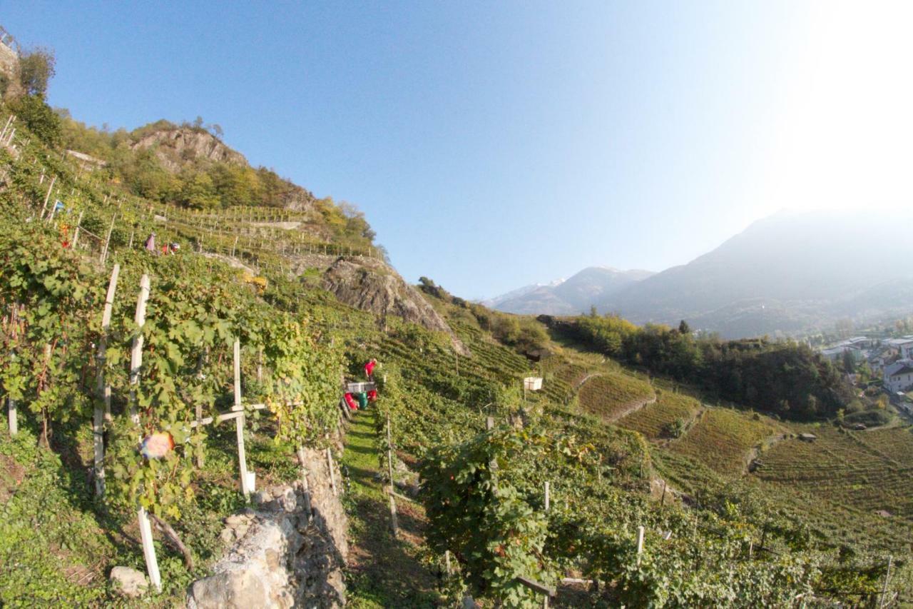 Winebnb Sondrio Eksteriør bilde